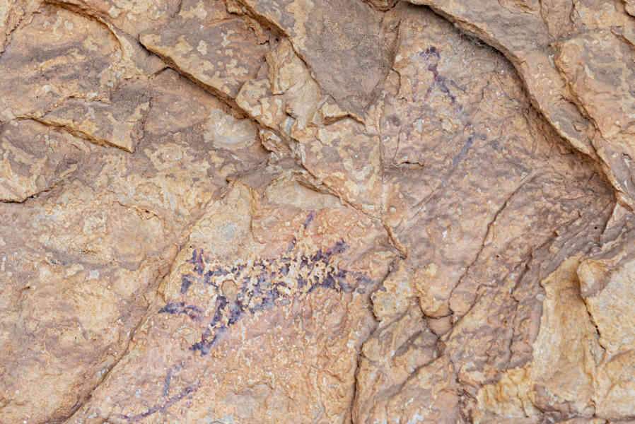 Castelló de la Plana - Ares del Maestrat - cova Remígia 18